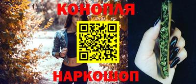 молекула духа Будённовск