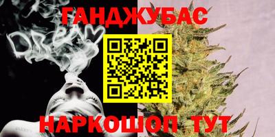 молекула духа Будённовск