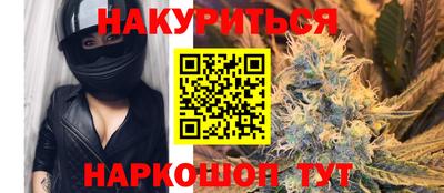 молекула духа Будённовск