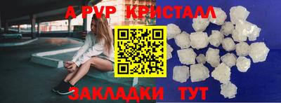 молекула духа Будённовск