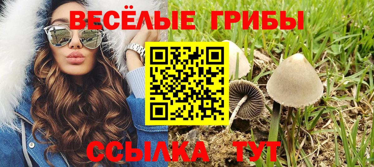 Галлюциногенные грибы ЛСД  наркошоп  Галлюциногенные грибы MAGIC MUSHROOMS  Мыски  Вход с VPN 