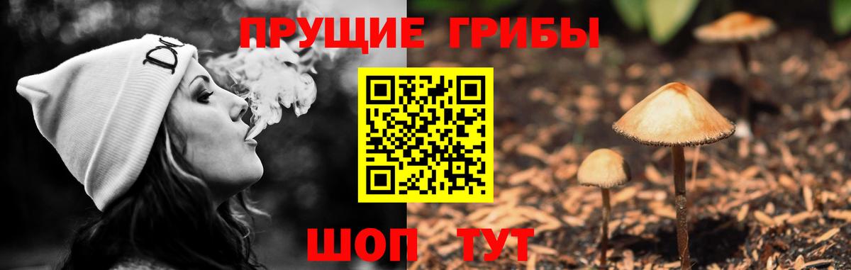 Галлюциногенные грибы мухоморы Мыски